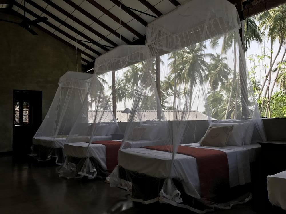 Hotel Kethaka Aga Tissamaharama Exteriér fotografie