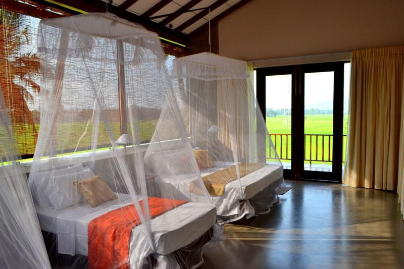 Hotel Kethaka Aga Tissamaharama Exteriér fotografie