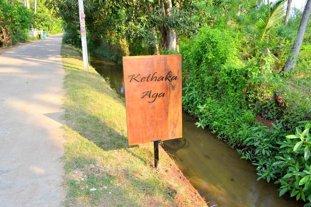 Hotel Kethaka Aga Tissamaharama Exteriér fotografie